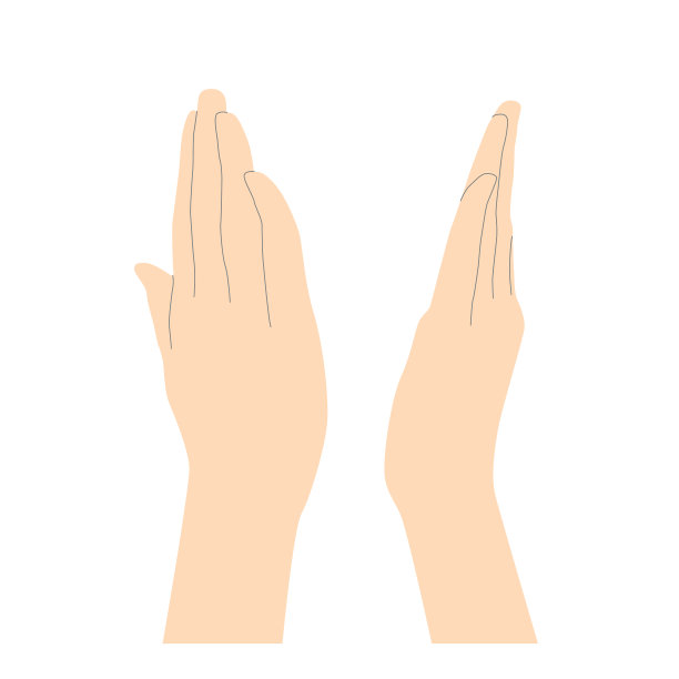 两只人的手，手掌在折叠的手指后面，米色的线条强调了形状的简约，在白色的背景上孤立的矢量。图片下载
