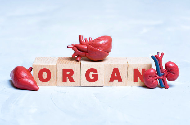 创意器官捐赠横幅背景图片下载