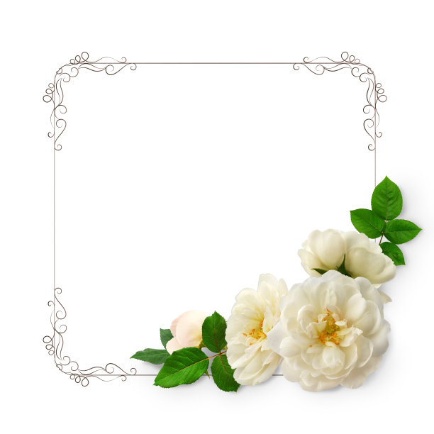 装饰框架——一个白玫瑰花环，插花，孤立的图片下载