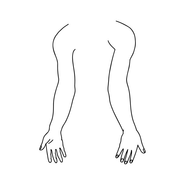 前面和后面都是人手。图片下载