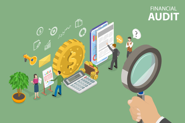 财务审计三维等距平面矢量概念图图片下载