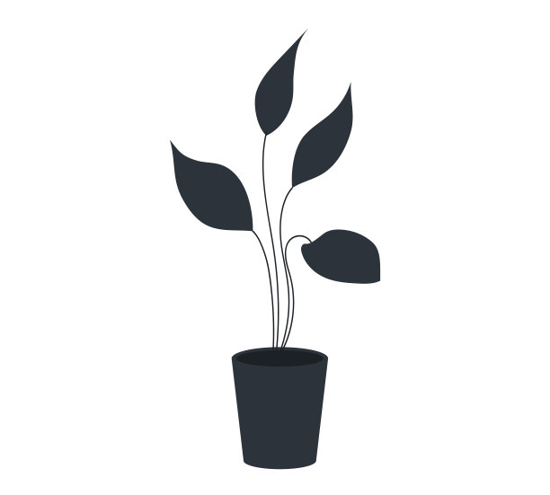 装饰黑色植物长叶陶瓷花盆，花盆与室内植物。室内植物图片下载