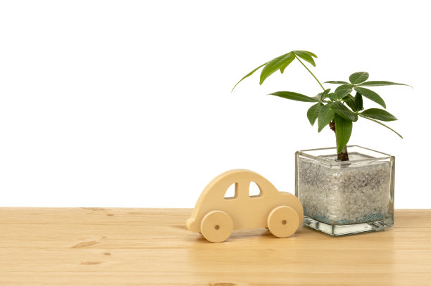 室内植物图片下载