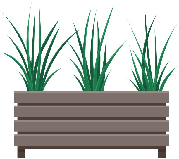 长，低花盆与小绿色草本植物。小草，木花盆里的室内植物图片下载