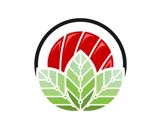 叶子形状，上面有寿司图片下载