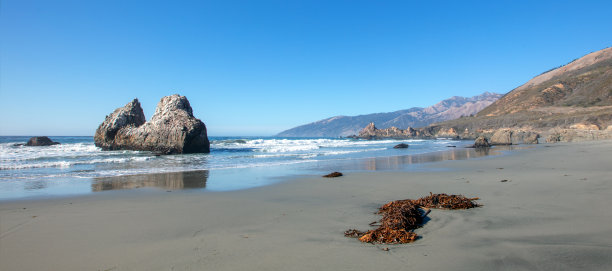 海草和海带在太平洋谷海滩大苏尔中部加利福尼亚海岸线美国图片下载