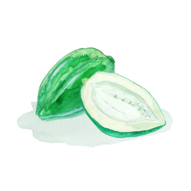 用水彩画的绿色木瓜图片下载