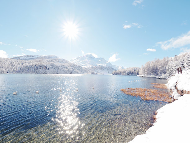 快乐的冬季仙境图片下载