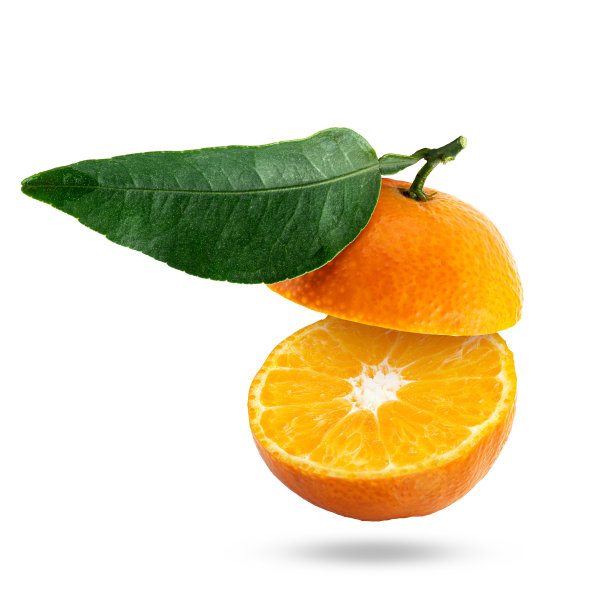 悬浮的橘子或橘子孤立在白色背景与修剪路径，充分的景深图片下载