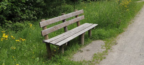 花园的长椅上图片下载