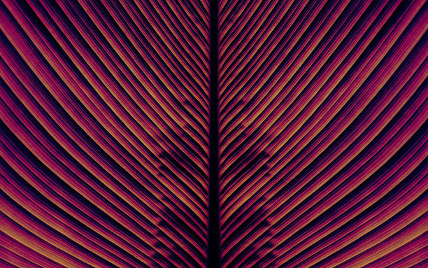 抽象纹理背景图片下载