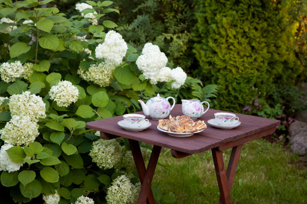 在花园里吃早餐，有茶和新鲜的糕点。图片下载