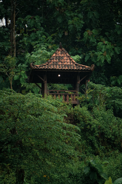 山上的凉亭图片下载