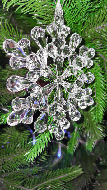 圣诞节和新年。节日背景以冷杉枝、圣诞树为主，新年玩具由本厂生产。图片下载