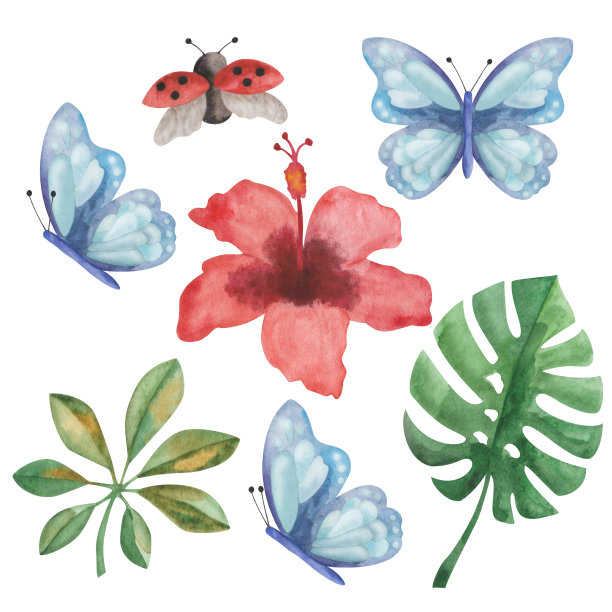 水彩插图从手绘红色的热带芙蓉花，绿色的怪兽和雪蕨叶，蓝色的蝴蝶，瓢虫。热带自然图片下载