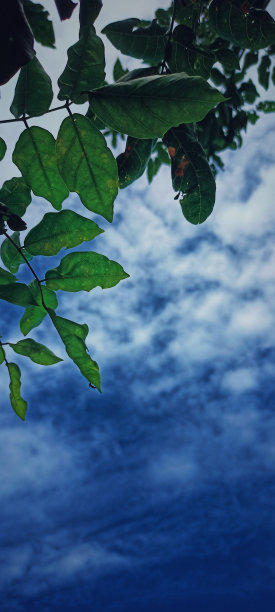 云是天空的想象图片下载