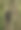 非洲野生自然图片下载