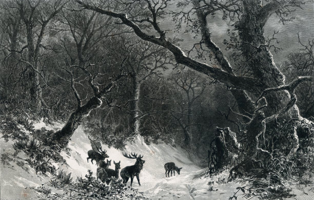 斯堪地那维亚的冬天场景，由路德维格·蒙创作，19世纪插画图片下载