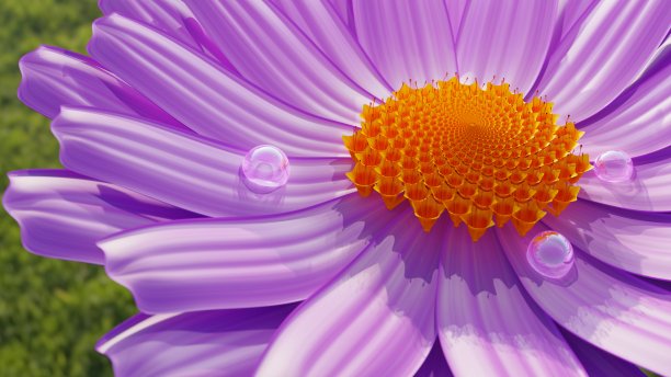 花和雨滴在绿草背景，宏，3D渲染图片下载