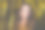 可爱的模特女人黑发长发肖像图片下载