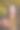 美丽的女人拿着礼物在金色的散景背景图片下载