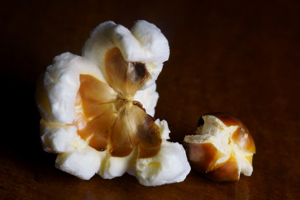 微距摄影与爆米花;黑色背景下盛开的玉米粒图片下载