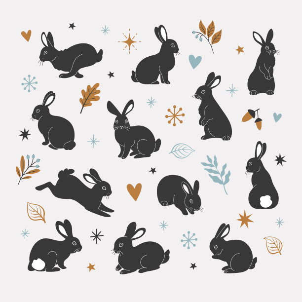 黑兔子系列。图片下载