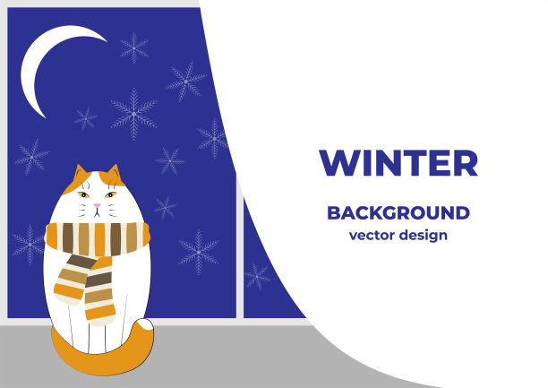 窗外是冬天的雪花。窗台上围着围巾的猫。文本的背景。图片下载