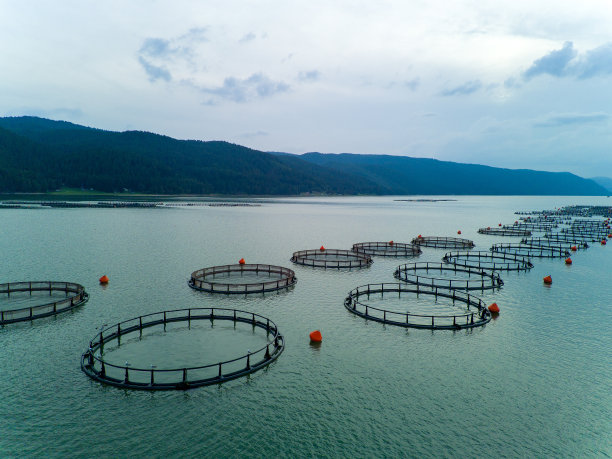 圆网养殖淡水鱼。欧洲的Rhodope山脉图片下载