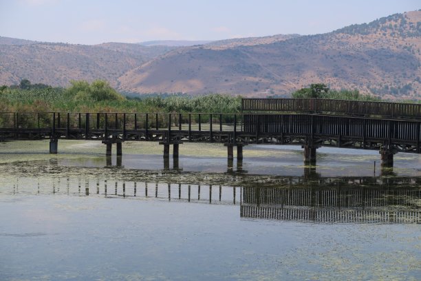 呼啦自然保护区呼啦湖恢复后的浮桥图片下载