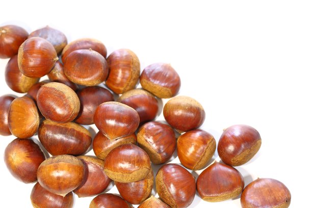 成熟的坚果。栗图片下载