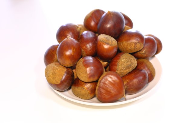 成熟的坚果。栗图片下载