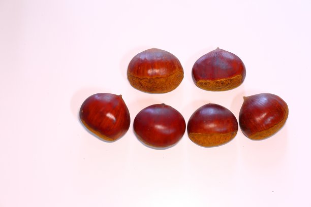 成熟的坚果。栗图片下载