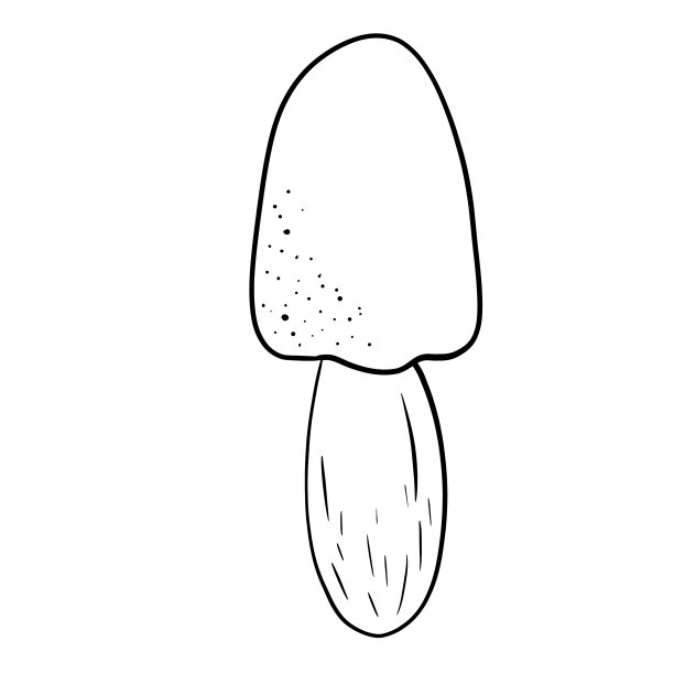 蘑菇插图在黑白彩色的直线艺术风格图片下载