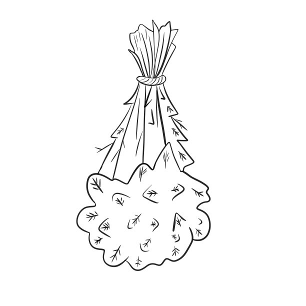 万圣节用的草药，线条插画图片下载