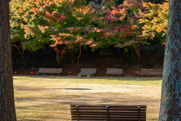 秋天的场景图片下载