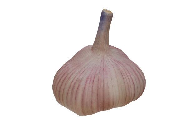 3d渲染真实的大蒜蔬菜图片下载