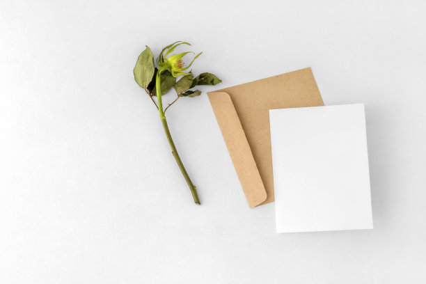 空卡片的模型。婴儿送礼会邀请函模板。社交媒体宝宝公告。图片下载