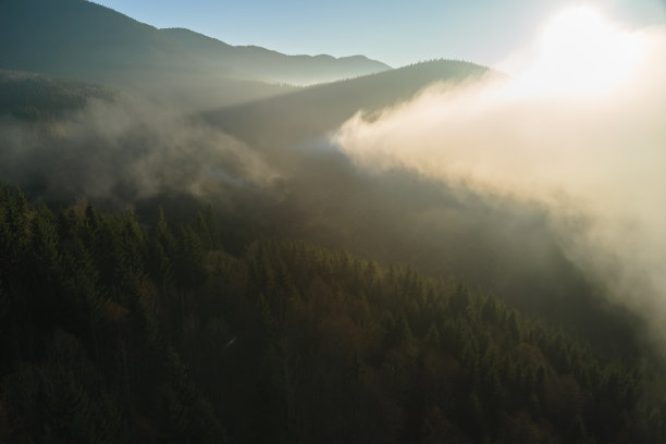 在秋天日出时，在黑暗的山林树木上空的明亮雾蒙蒙的早晨鸟瞰图。黎明时分的野生林地美景图片下载