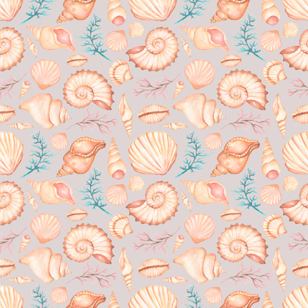 水彩画海贝壳无缝图案，手绘夏季海洋装饰重复纸，贝壳剪贴纸。图片下载