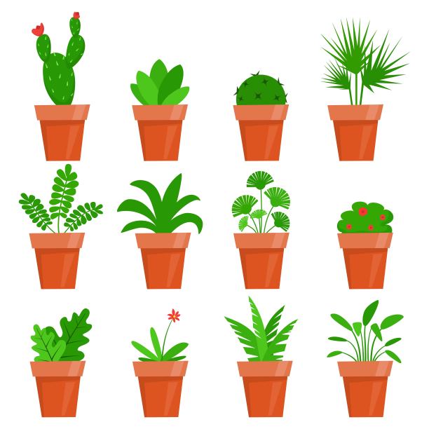 盆栽植物和花朵。扁平风格的可爱室内植物。矢量插图。图片下载
