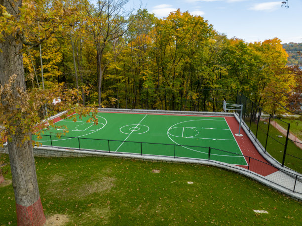 学校操场上绿色和红色的户外篮球场的航拍照片。场地包括挡土墙和黑色乙烯基涂层链环围栏。图片下载
