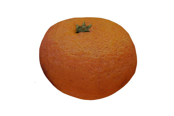 3d渲染真实的橘子水果图片下载