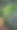 长满青苔的石头图片下载