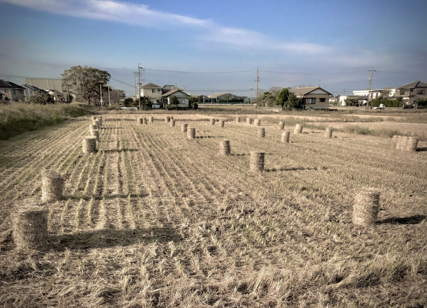 公园城市图片下载