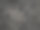 森林中树皮的抽象背景图片下载