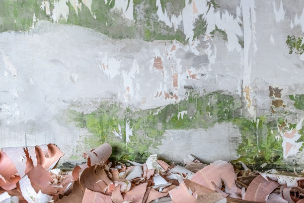 粉红色的墙纸散落在地板上，背景是石灰灰色的破旧墙壁，墙上有油漆和水泥渍图片下载