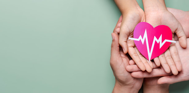 成人和儿童手握红心捐献与脉搏心电图，保健，器官捐献，家庭人寿保险，世界心脏日，世界卫生日，祈祷概念图片下载