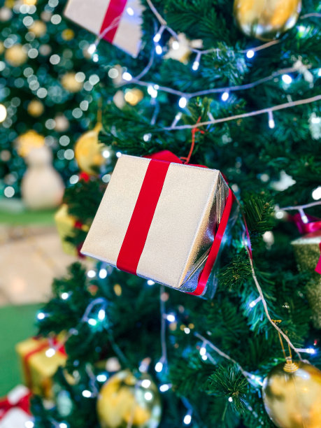 新年的圣诞树。图片下载