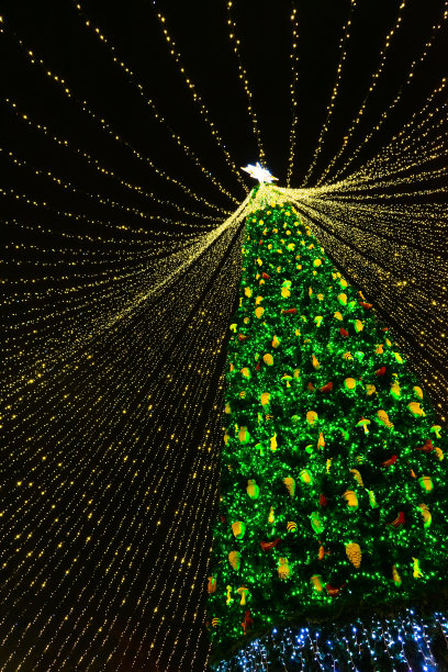 圣诞树在城市的广场上闪闪发光。晚上，夜间照明图片下载